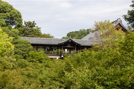 東福寺(103)