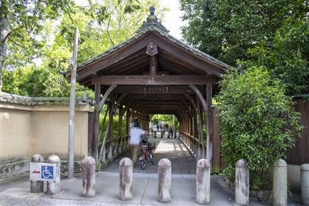 東福寺(104)