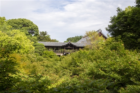 東福寺(106)