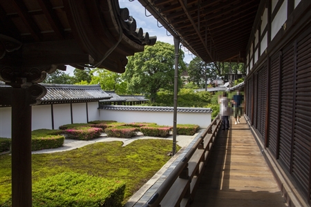 東福寺(48)