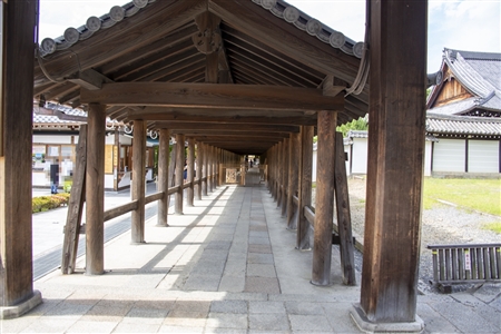 東福寺(50)