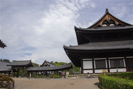 東福寺(6)