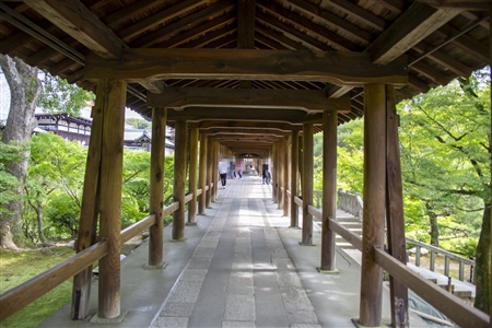 東福寺(64)