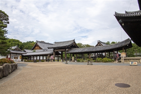 東福寺(7)