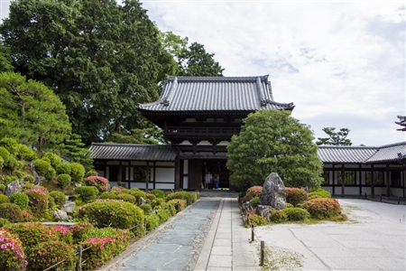 東福寺(70)