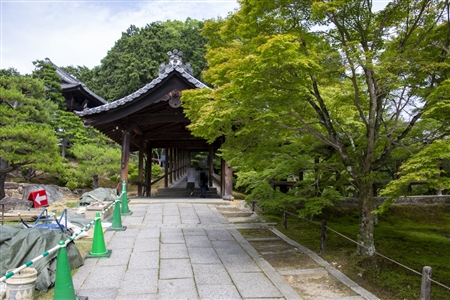 東福寺(74)