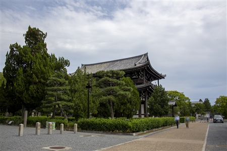 東福寺(8)