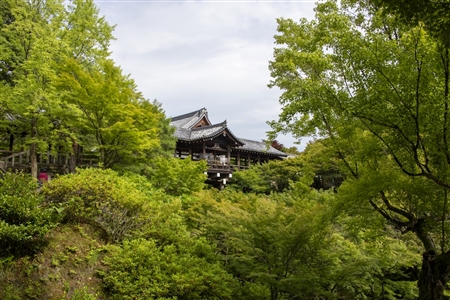 東福寺(80)