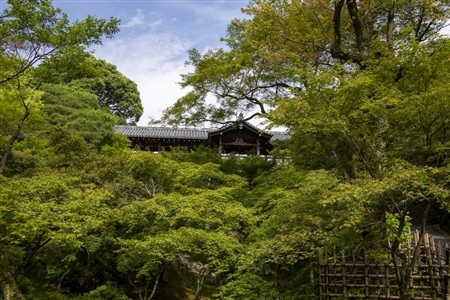 東福寺(87)