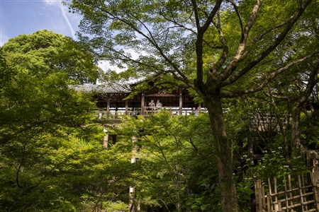 東福寺(89)