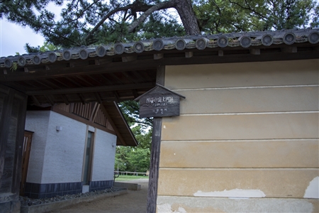 興福寺(75)