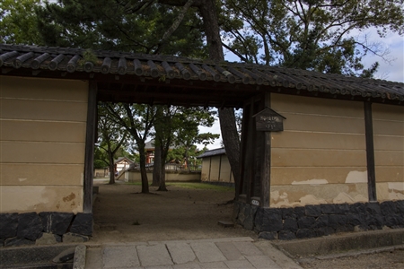 興福寺(76)