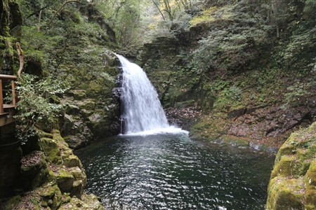 Akame 48 Waterfalls(10)