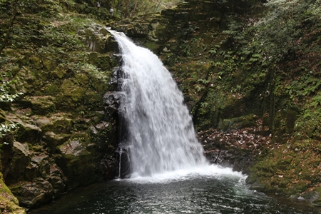 Akame 48 Waterfalls(11)
