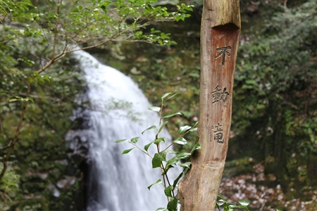 Akame 48 Waterfalls(12)