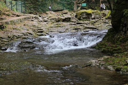 Akame 48 Waterfalls(14)