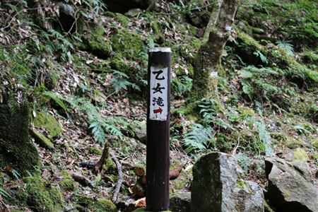 Akame 48 Waterfalls(15)