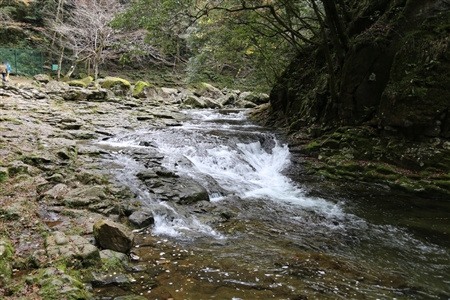 Akame 48 Waterfalls(16)
