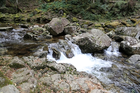 Akame 48 Waterfalls(18)