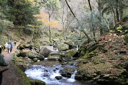 Akame 48 Waterfalls(19)