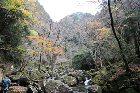Akame 48 Waterfalls(20)