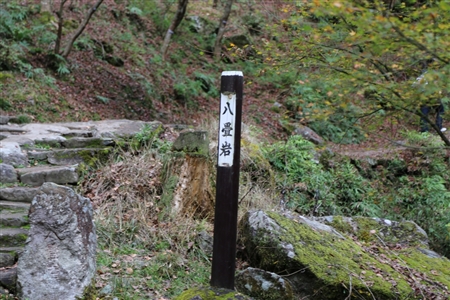 Akame 48 Waterfalls(23)