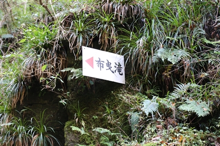 Akame 48 Waterfalls(29)