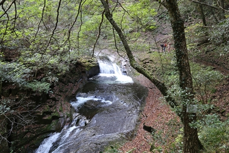 Akame 48 Waterfalls(33)