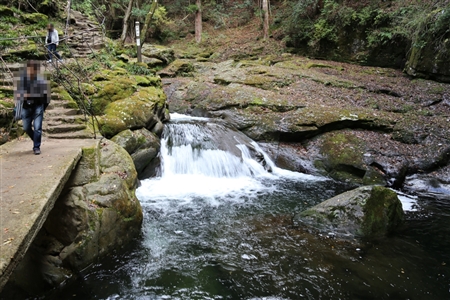 Akame 48 Waterfalls(37)