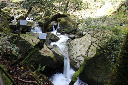 Akame 48 Waterfalls(4)