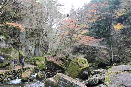 Akame 48 Waterfalls(46)
