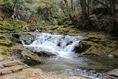 Akame 48 Waterfalls(49)