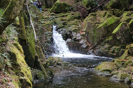 Akame 48 Waterfalls(52)