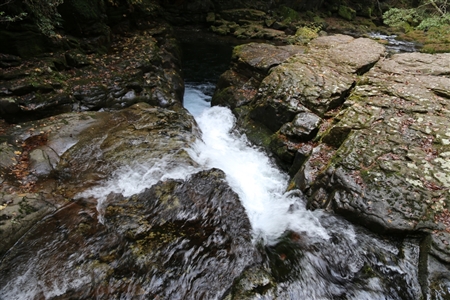 Akame 48 Waterfalls(54)