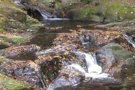 Akame 48 Waterfalls(70)