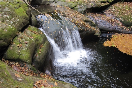 Akame 48 Waterfalls(71)