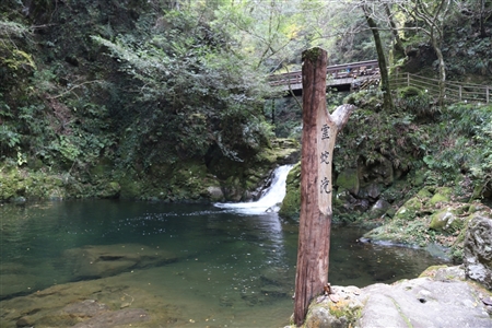 Akame 48 Waterfalls(8)