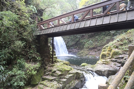 Akame 48 Waterfalls(9)