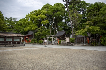 八坂神社(42)