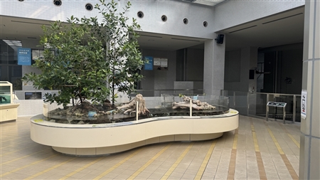 Port of Nagoya Public Aquarium South Building(142)