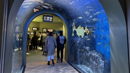 Port of Nagoya Public Aquarium South Building(271)