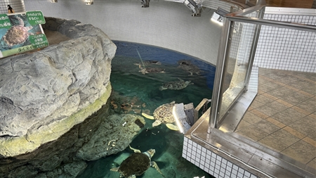 Port of Nagoya Public Aquarium South Building(407)