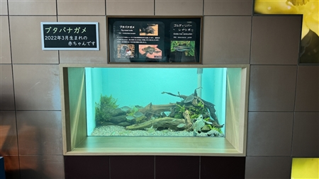 Port of Nagoya Public Aquarium South Building(422)