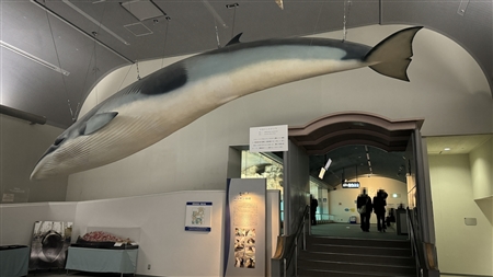 Port of Nagoya Public Aquarium South Building(446)