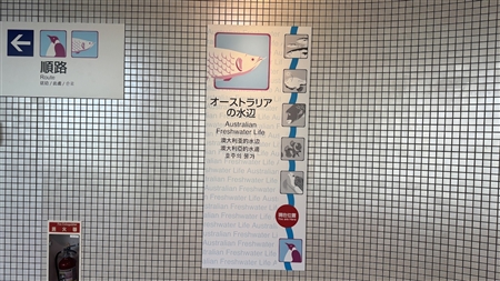 Port of Nagoya Public Aquarium South Building(488)