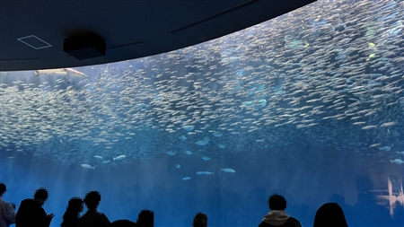 Port of Nagoya Public Aquarium South Building(506)