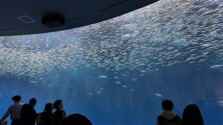 Port of Nagoya Public Aquarium South Building(507)