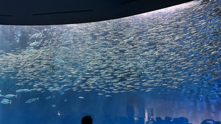 Port of Nagoya Public Aquarium South Building(508)