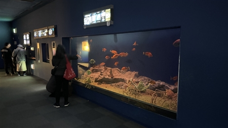 Port of Nagoya Public Aquarium South Building(562)