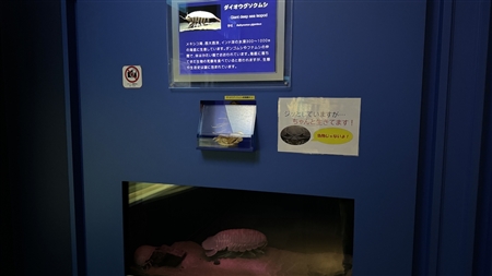 Port of Nagoya Public Aquarium South Building(593)